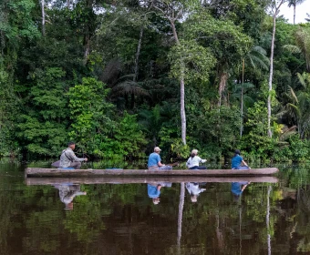 Naturaleza