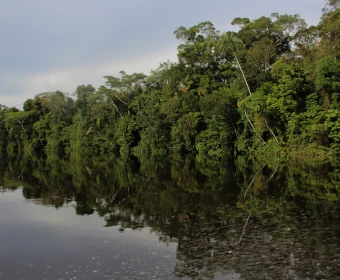 Naturaleza